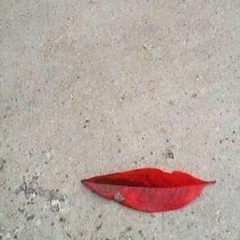 Полина Делия