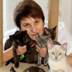 Ирина Ковалевская, 19.05, Петрозаводск