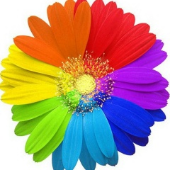 Анна Полуэктова, 11.03, Волгоград