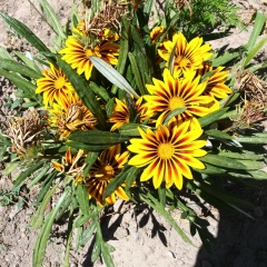 Светлана Кулаева, 11.09.1998