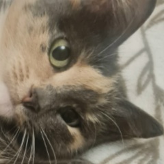 Дина Димина