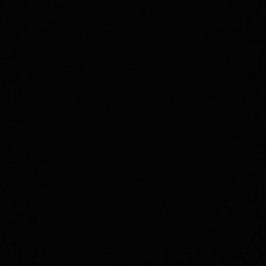 Julie Julie, Москва