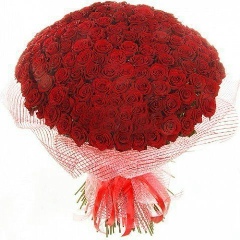 Айгуль Искакова, Алматы