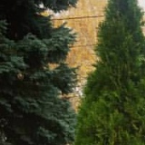 Даша Данилова, 06.05, Новосибирск