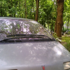 Нина Кузницова