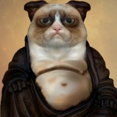 Сергей Силкин, 03.05.1982, Тула