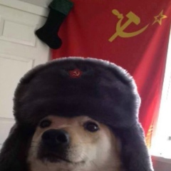 Сергей Василенко, 21.02, Волгоград