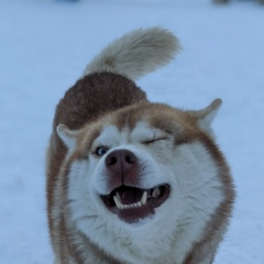 Борис Василевский, 02.05.1988, Москва