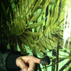 Берик Султаниязов, 22.11.1987, Ушарал