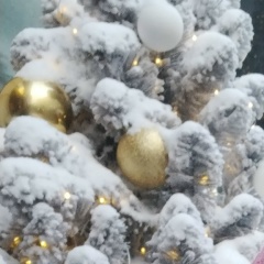 Нина Петрова, 24.04.1982, Санкт-Петербург