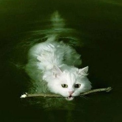 Магомед Хакасов, 17.04, Москва