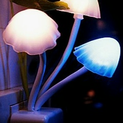 Дмитрий Шатовкин, 26.08.1984