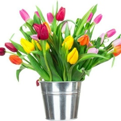 Ольга Мариничева, 20.02, Санкт-Петербург