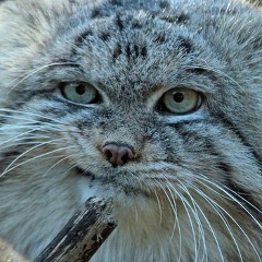 Алексей Юников, 06.04.1987, Москва