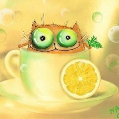 Валерий Андреевич, 09.02, Донецк