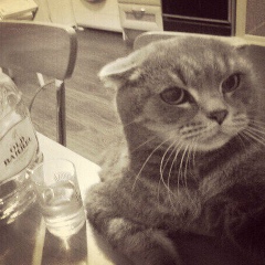 Dmitriy Fedorov, 19.04.1988, Ижевск