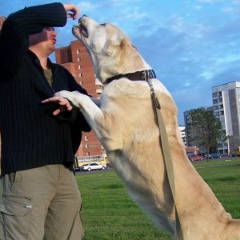 Сергей Serj, 25.09.1978, Санкт-Петербург