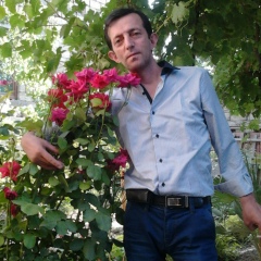 Шикар Аббасов, Мурманск