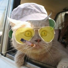 Граф , 14.10.1987, Москва