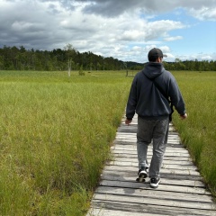 Владимир Раджабов, Пермь