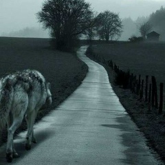 Макс Овчинников, 27.03.1986, Пермь