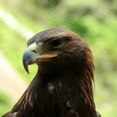 Ислам Мукамбетов, 06.01.1992, Вильнюс