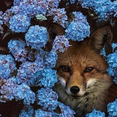 Олеся Нестеренко, 21.06, Уфа