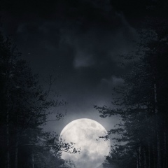 Ivan Tt, 05.08.1995, Грозный