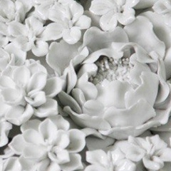 Анастасия Белодед, Киев