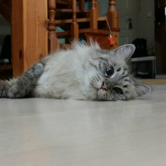 Евгения Трикоз, 12.11, Атырау