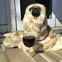 Ksyusha Me, 11.05, Санкт-Петербург