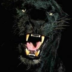 Аслан Юнаев, 28.02, Хасавюрт