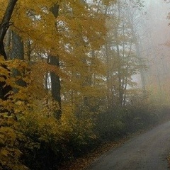Анна Зенкевич, 10.03, Санкт-Петербург