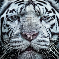 Олеся Sun, 14.06, Москва