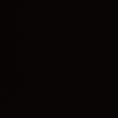 Максим Максимкин