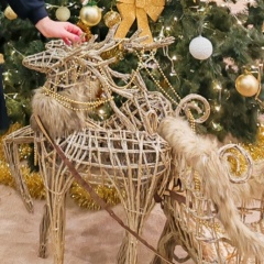 Анна Саенкова, 29.01, Москва