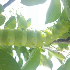 Ярослав Ярило, 20.07.1980