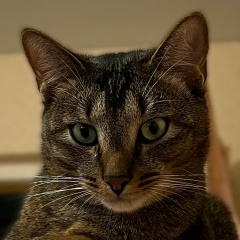 Александр Гуш, 27.10, Омск