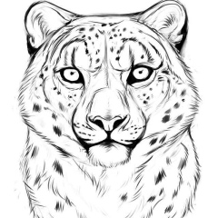 Руслан Хестанов, 13.07, Владикавказ