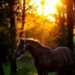 Manas Markabaev, 10.02.1991, Актобе