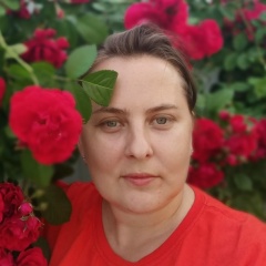 Наталья Березина, Воронеж