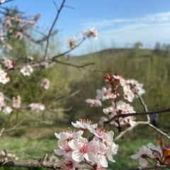Анна Морозова, 29.07, Москва