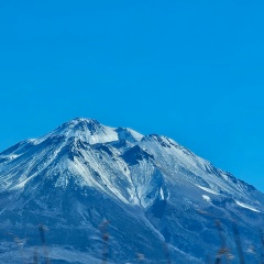 Юлия Штейн, 16.05