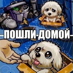 Азиза Бахтиярова, 17.03