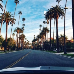 Байсерик Узбекбаев, 28.02.1995, Шымкент