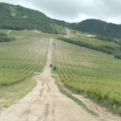 Роман Креер, 01.03, Санкт-Петербург