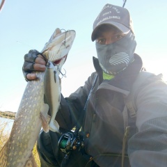 Дмитрий Миронов, 04.04.1988, Старая Русса