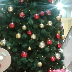 Урлям Ахмуллаева, 01.05.1985, Алматы