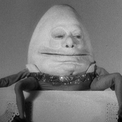 Евгений Волков, 22.05.1998, Санкт-Петербург