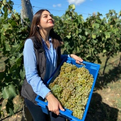 Нино Маркоишвили, 01.09, Тбилиси